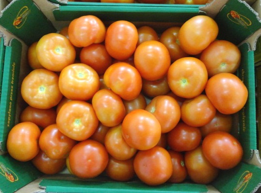 Tomatoes And Califlowers From Poland