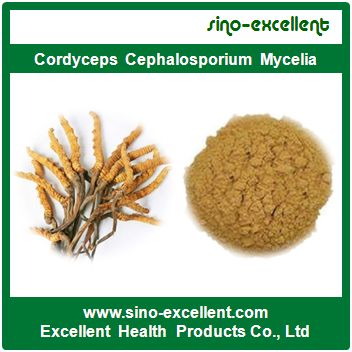Top Quality Cordyceps Cephalosporium Mycelia