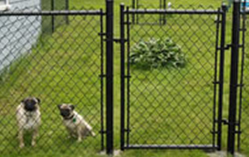 Versatile Chain Link Fence Protecting Your Property