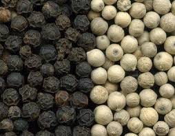 Viet Nam Best Black Pepper