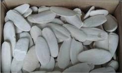 Viet Nam Cuttlefish Bones