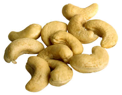 Vietnamese Cashew Nut Kernels