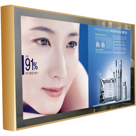 Wall Mounted Lcd Advertising Display