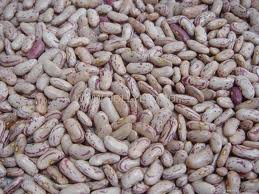 We Offer Best Quality Light Kidney Beans