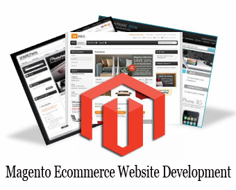 Website Development Services