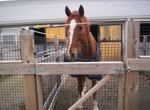 Welded Livestock Panels