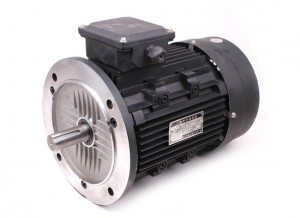 Y Series Three Phase Motor 100