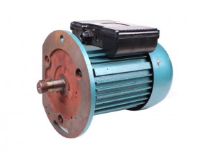 Y Series Three Phase Motor Y100 B5 Pig Iron