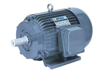 Y Three Phase Electric Motor