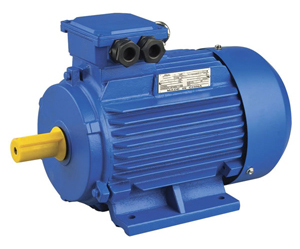 Y2 Three Phase Induction Motor