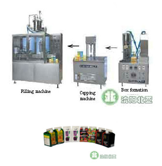 Yogurt Gable Top Carton Filling Machine Capping Systems Bw 1000 3