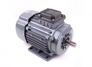 Ys80 B3 Ys Series Three Phase Motor