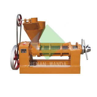 6yl 165 Screw Oil Press