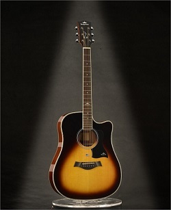 Acoustic Guitar K D1c