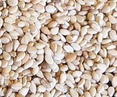 Agricultural Produce Sesame Seed