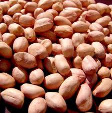 Agricultural Product Peanut Kernels