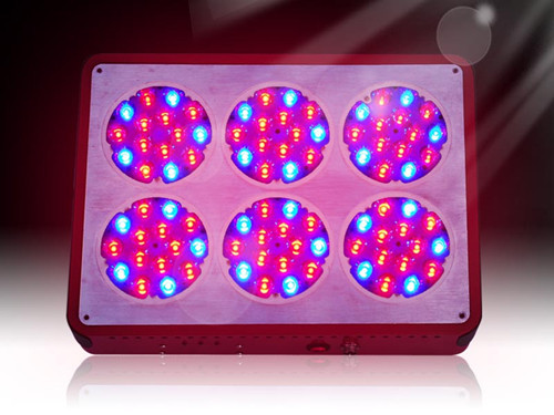 Apollo 6 Led Grow Light