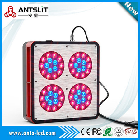 Apollo Series Led Grow Light 132w 725w Ratio Red Blue 8 1