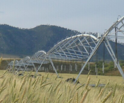 Automatic Turn Pivot Sprinkler Irrigation System Plant Agricultural Center 