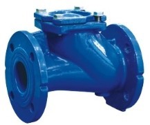 Ball Type Check Valve