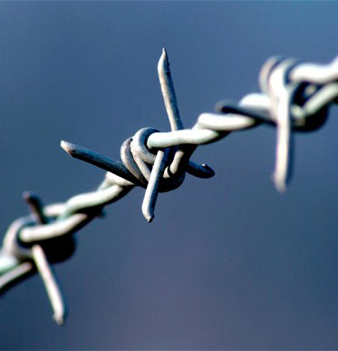 Barbed Wire For Sale Suppliers