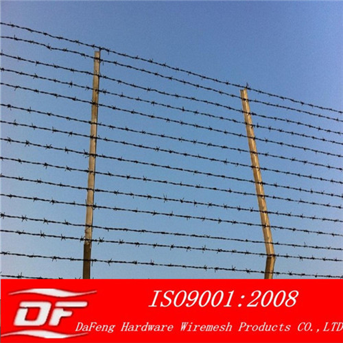 Barbed Wire Galvanized Pvc