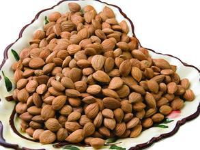 Bitter Apricot Kernels Almond