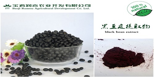 Black Bean Peel Extract Anthocyanidin 25