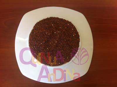 Black Quinoa Quinua Negra