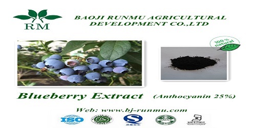 Blueberry Extract Anthocyanidins25 Super Antioxidant