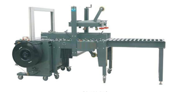 Box Stretch Wrapping Machine