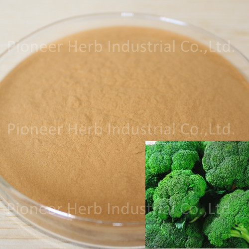 Brocolli Seed Extract Die Brokoli P E Glucoraphanin Broccoli Seeds Plant