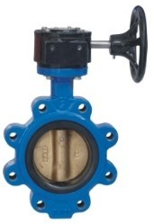 Butterfly Valve Lug Type