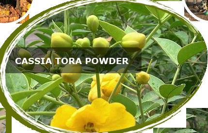 Cassia Tora Seed From Agro Gums