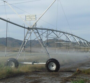 Center Pivot Irrigation Cost Sprinkler System For Sale