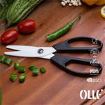 Ceramic Double Blade Kitchen Scissors