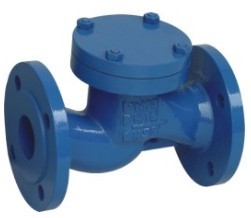 Check Valve Lift Type Din 3202 F1