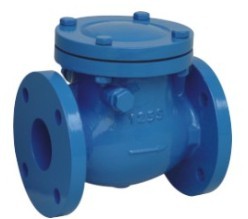 Check Valve Swing Type Class 125 150