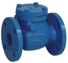 Check Valve Swing Type Din3202 F6