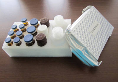 Chloramphenicol Elisa Test Kit