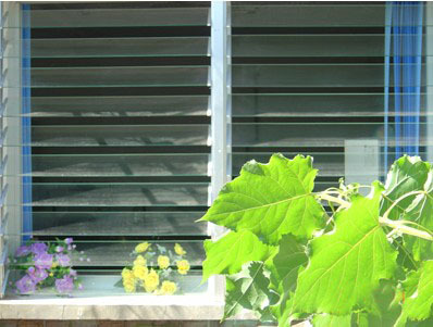 Clear Glass Windouw Shutters