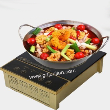 Commercial Induction Cooker