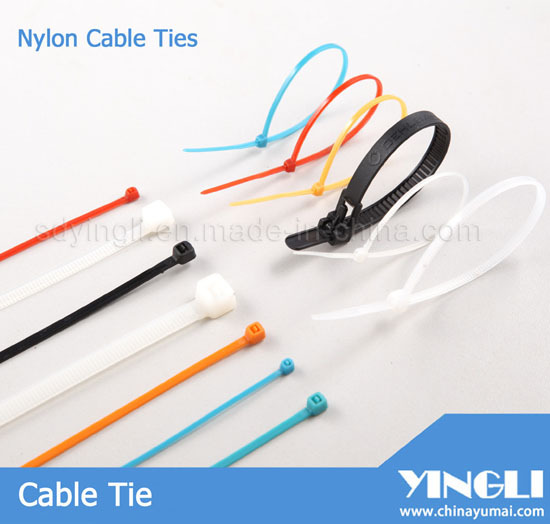 Completely New Nylon Cable Ties