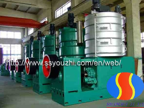 Cotton Seed Kernel Oil Press Machine