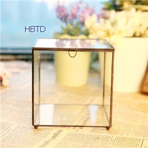 Creative Diy Succulent Plant Geometry Clear House Glass Flower Pot B0