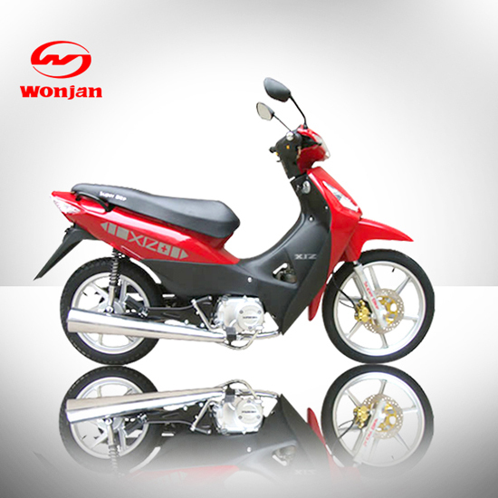 Cub Bike Model Wj110 7c