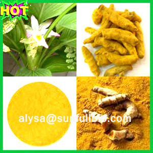 Curcumins Turmeric Extract