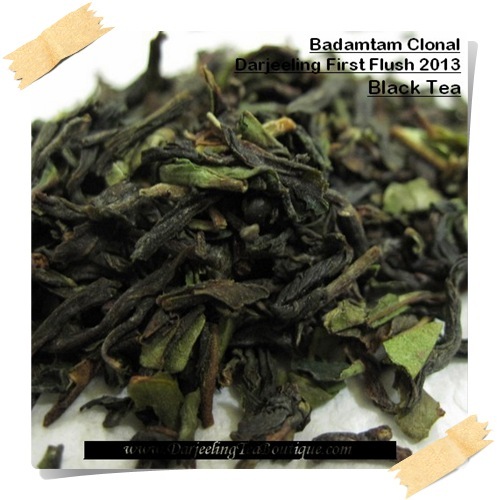 Darjeeling 1st Flush Tea Badamtam Black