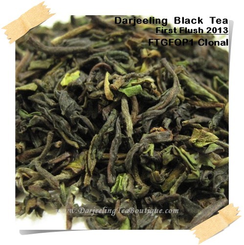 Darjeeling 1st Flush Tea Margaret S Hope