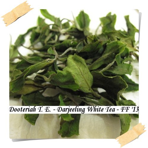 Darjeeling White Tea Dooteriah Estate